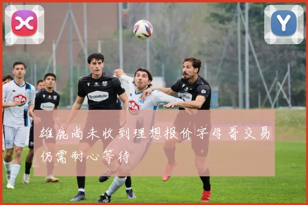 雄鹿尚未收到理想报价字母哥交易仍需耐心等待